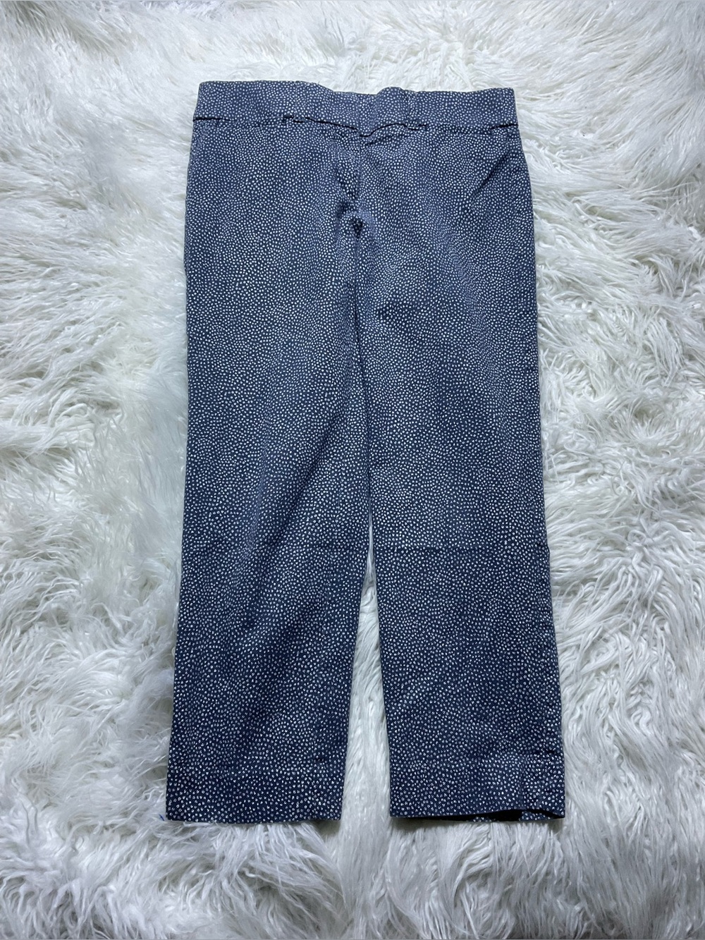 Loft Marisa The Riviera Pants
